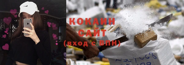 прущие крисы Горняк