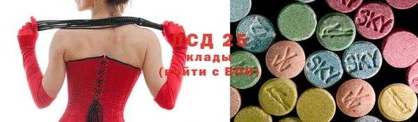 прущие крисы Горняк