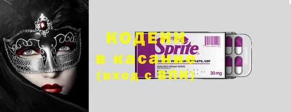 прущие крисы Горняк