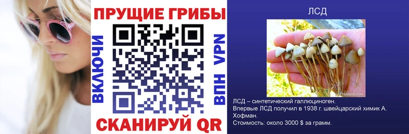 KRAKEN маркетплейс  Ковров  Псилоцибиновые грибы Psilocybine cubensis  darknet какой сайт  дарнет шоп 